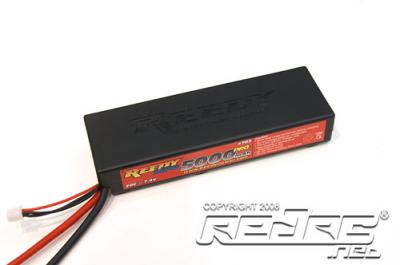 Reedy Lipo case