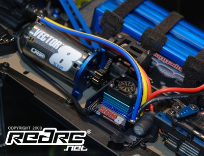 lrpvector8x12-400x307.jpg