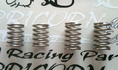 Capricorn RC Progressive spring sets