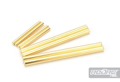 Roche BD5 titanium coated suspension pins