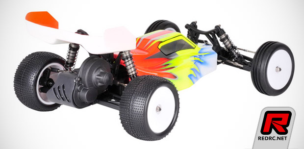 team c 2wd buggy