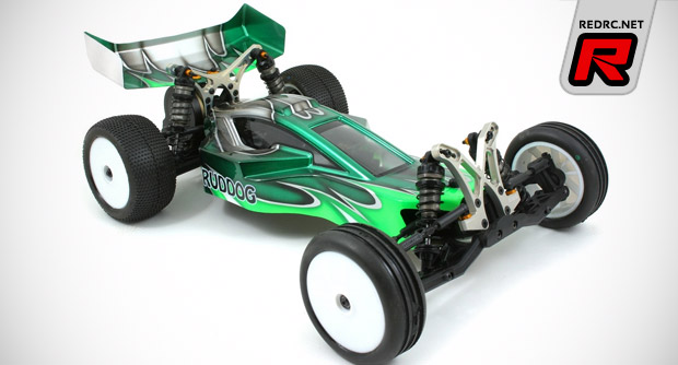 rc buggy bodies