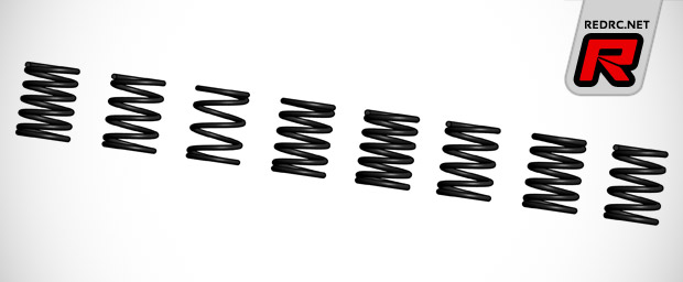 Capricorn big bore shocks & springs