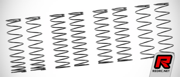 Xray XB4 linear & progressive springs