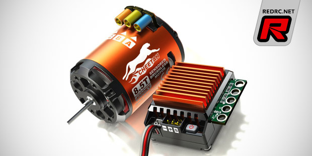 SkyRC Cheetah 60A motor & ESC combo