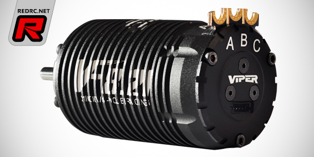 Viper VF8 4-pole 1/8th brushless motor