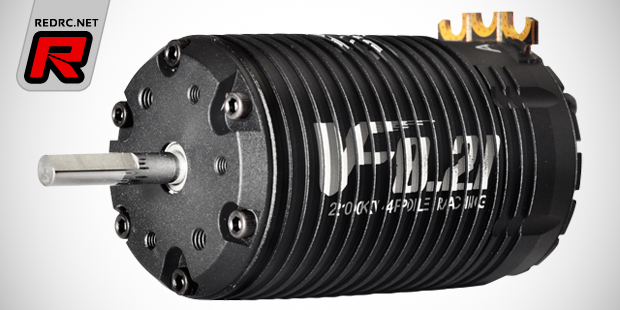 Viper VF8 4-pole 1/8th brushless motor