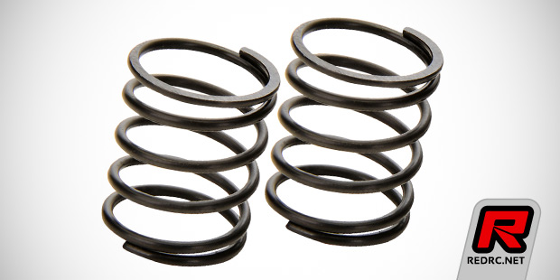 Team C low-profile touring car springs