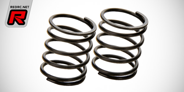 Team C TC10 CVD shafts pistons & springs