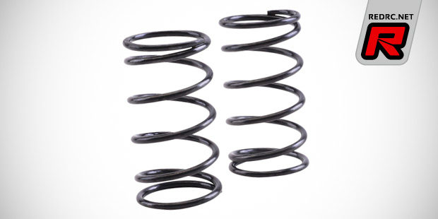 Team C ultra hard GT springs