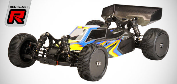 Team C TM4 1/10th 4WD buggy