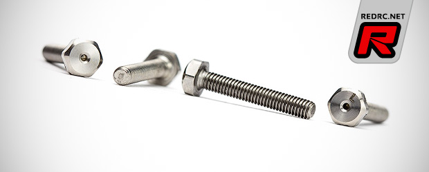 Avid 8ight Buggy titanium lower shock screw set