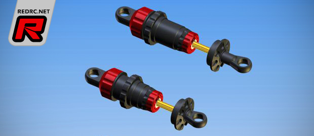 Capricorn 1/8th scale V3 shock absorbers