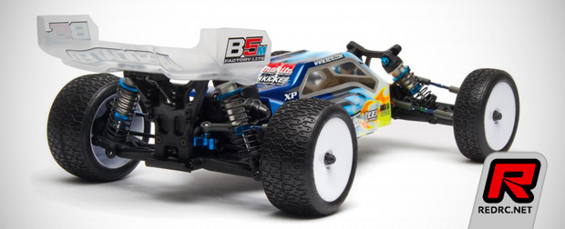 Team Associated B5M Factory Lite kit