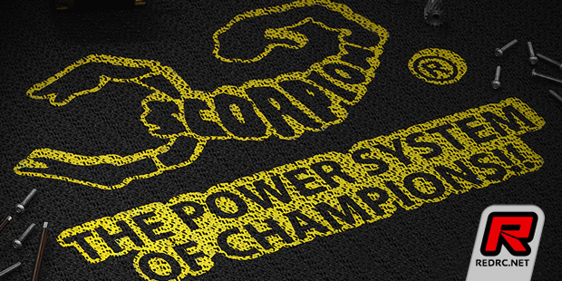 Scorpion anti-slip foam pit mat