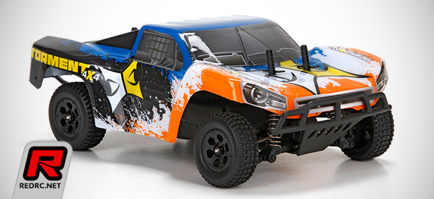 ECX Torment & Ruckus 1/24th scale RTR trucks