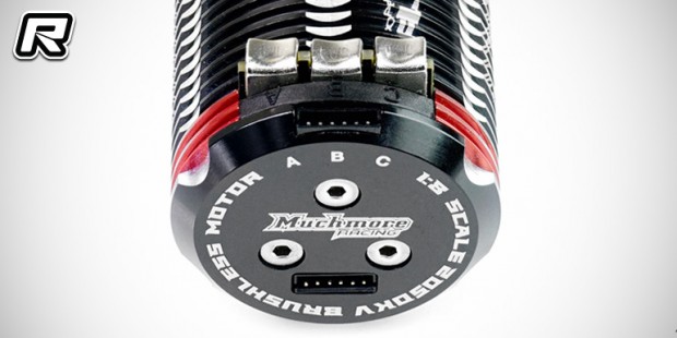 Muchmore Fleta ZX8 1/8th brushless motor