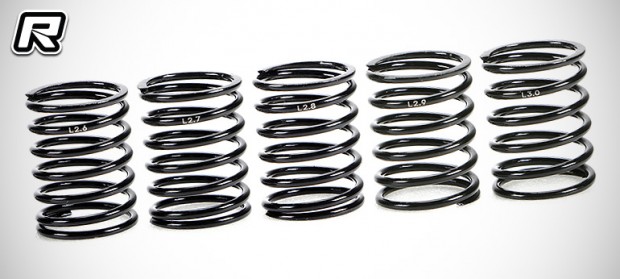 Team Magic Pro Series touring car springs