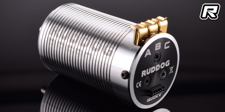 Ruddog RP690 1/8th sensored brushless motor