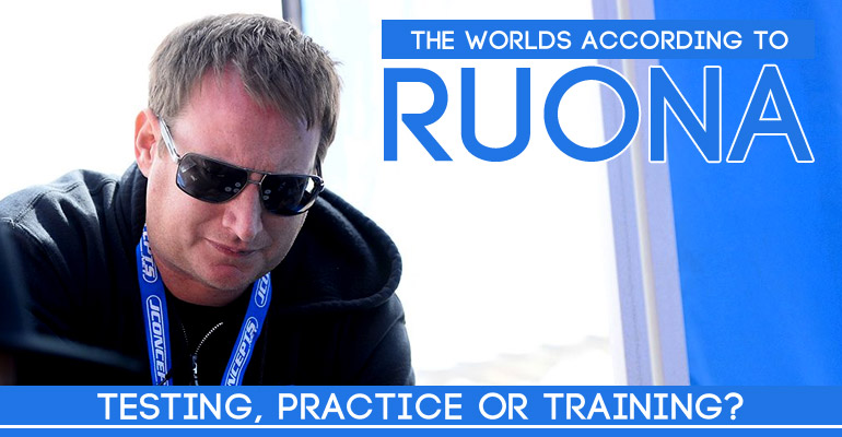 The Worlds according to Ruona – Testing, practice or training?