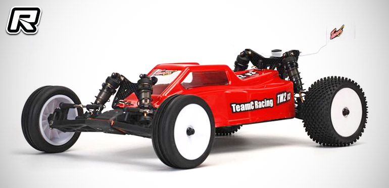 team c rc buggy