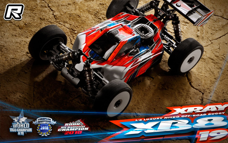 Xray nitro sales buggy